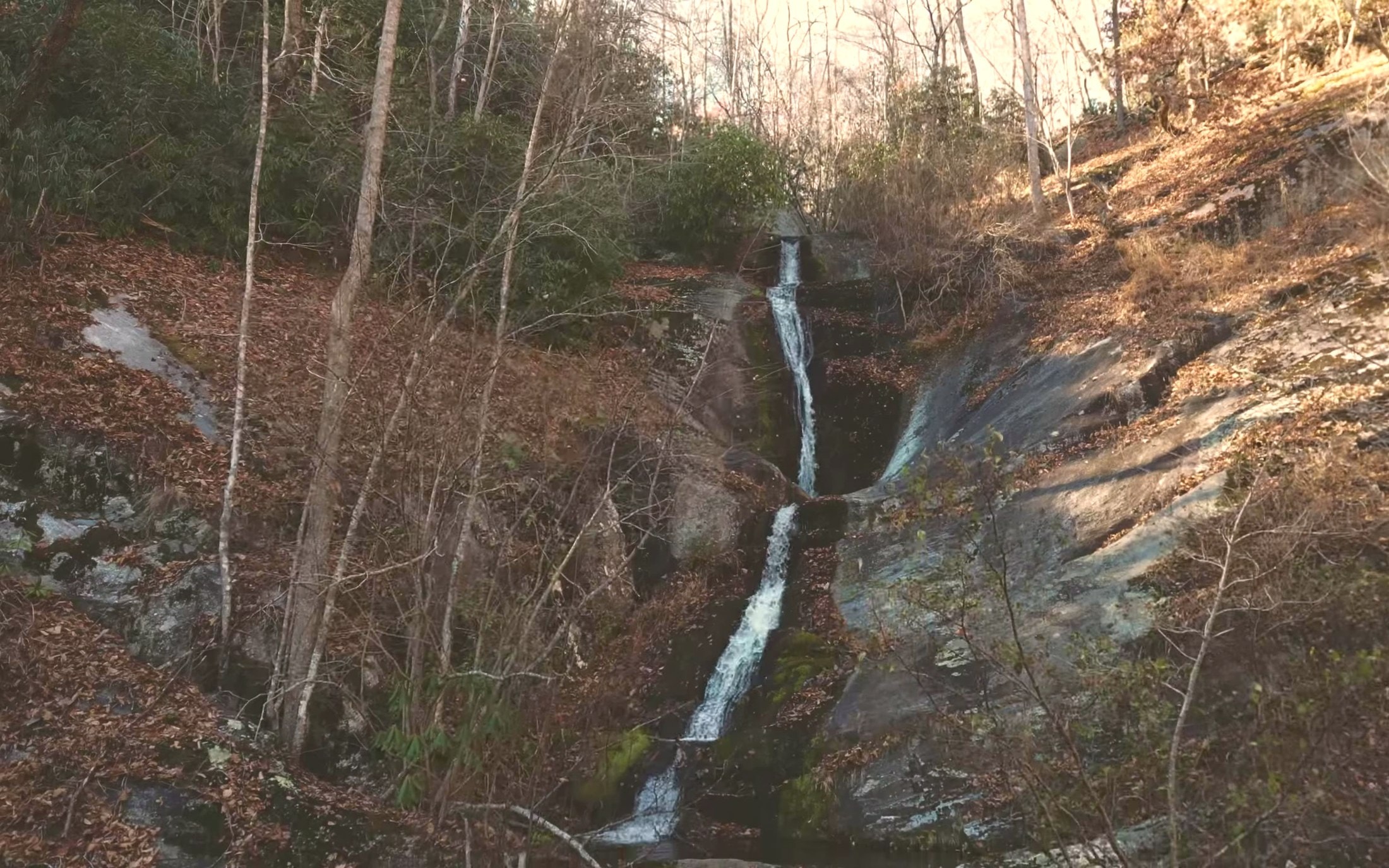 Forest waterfall and rhododendron in a mountain cove in the Blue Ridge of western North Carolina