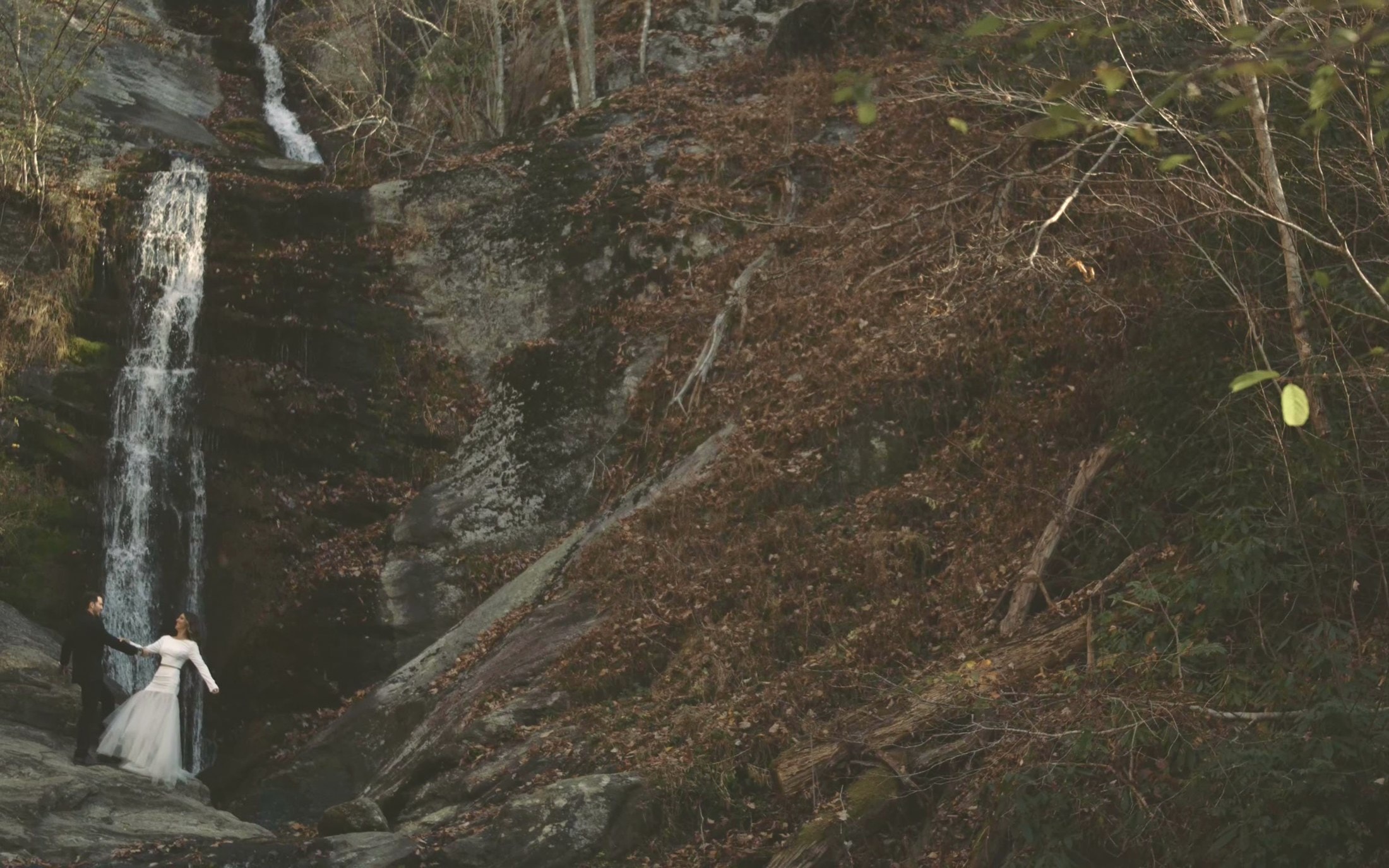 Bride and groom small beside a forest waterfall in the Blue Ridge mountains of western North Carolina