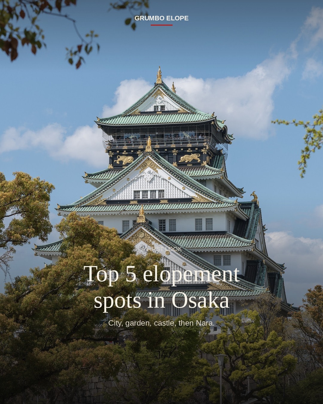 Osaka castle grounds