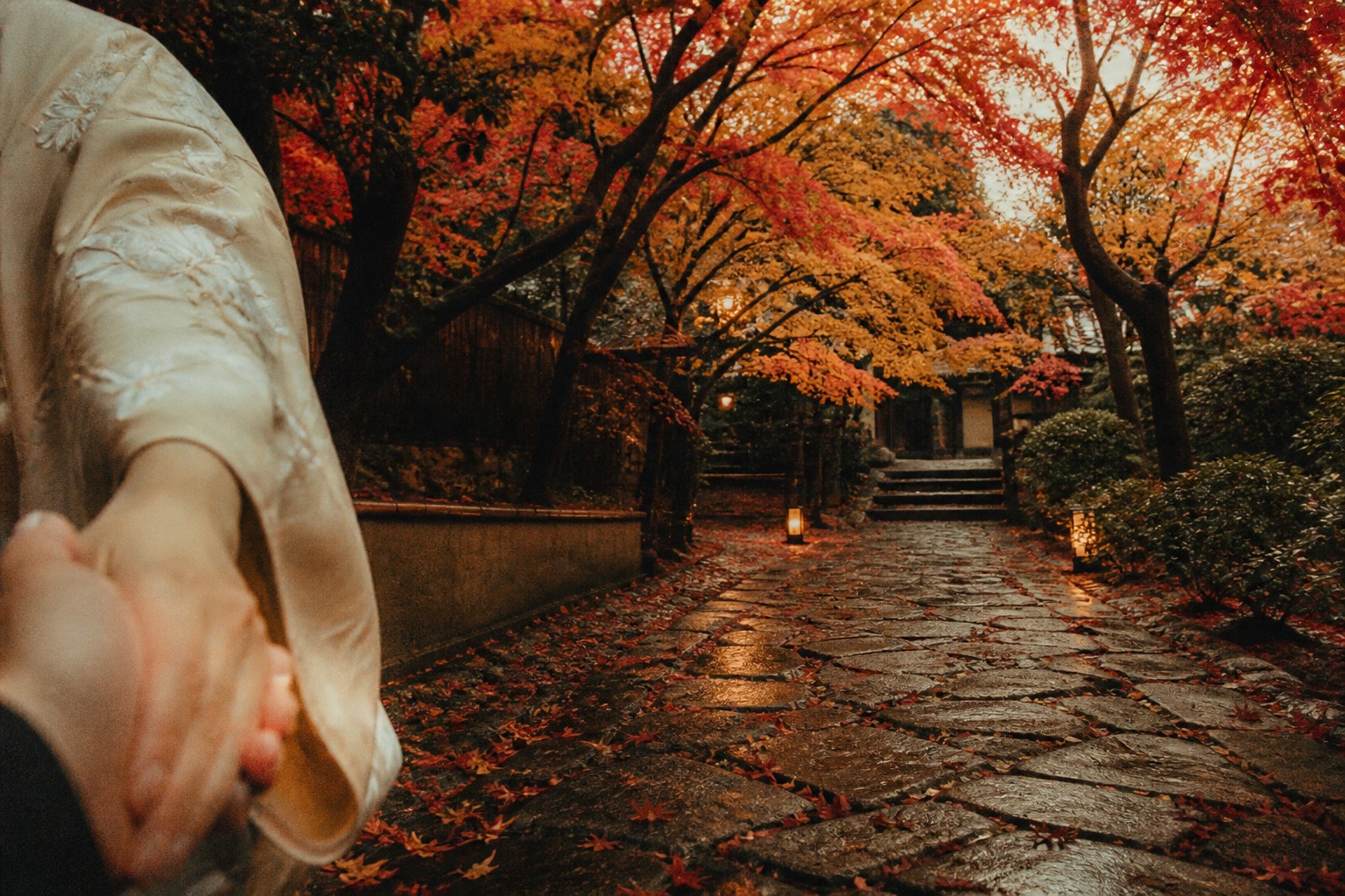 Autumn maple in Japan