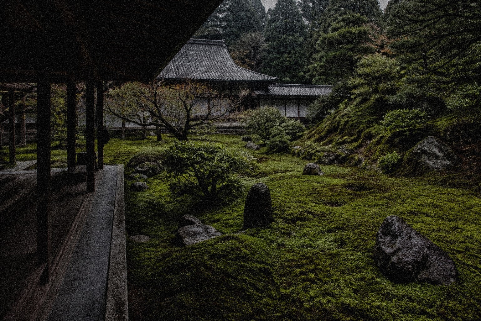 Moss and temple stone in Kyoto